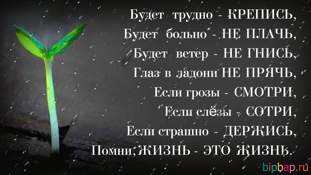 Слова в трудное время. Слова со смыслом в картинках. Стихи о жизни со смыслом. Открытки со смыслом. Картинки с пожеланиями со смыслом.