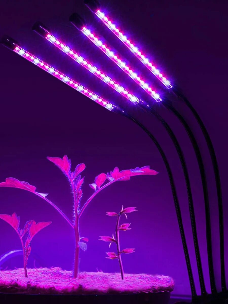 Фитолампа led grow light. Фитолампа uniel. Фитолампа для растений. Светодиодный фитосветильник espada fito e-3sgu10l-10-10w. Ультрафиолетовая лампа для цветов.