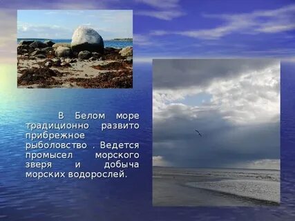Характеристика белого моря