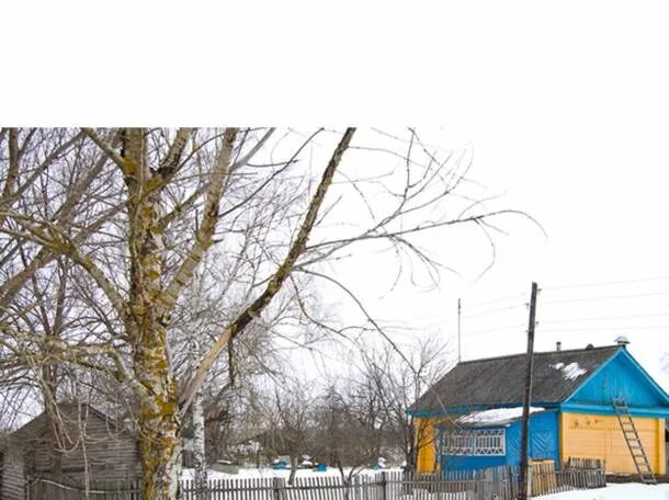 Сараи погода на 10