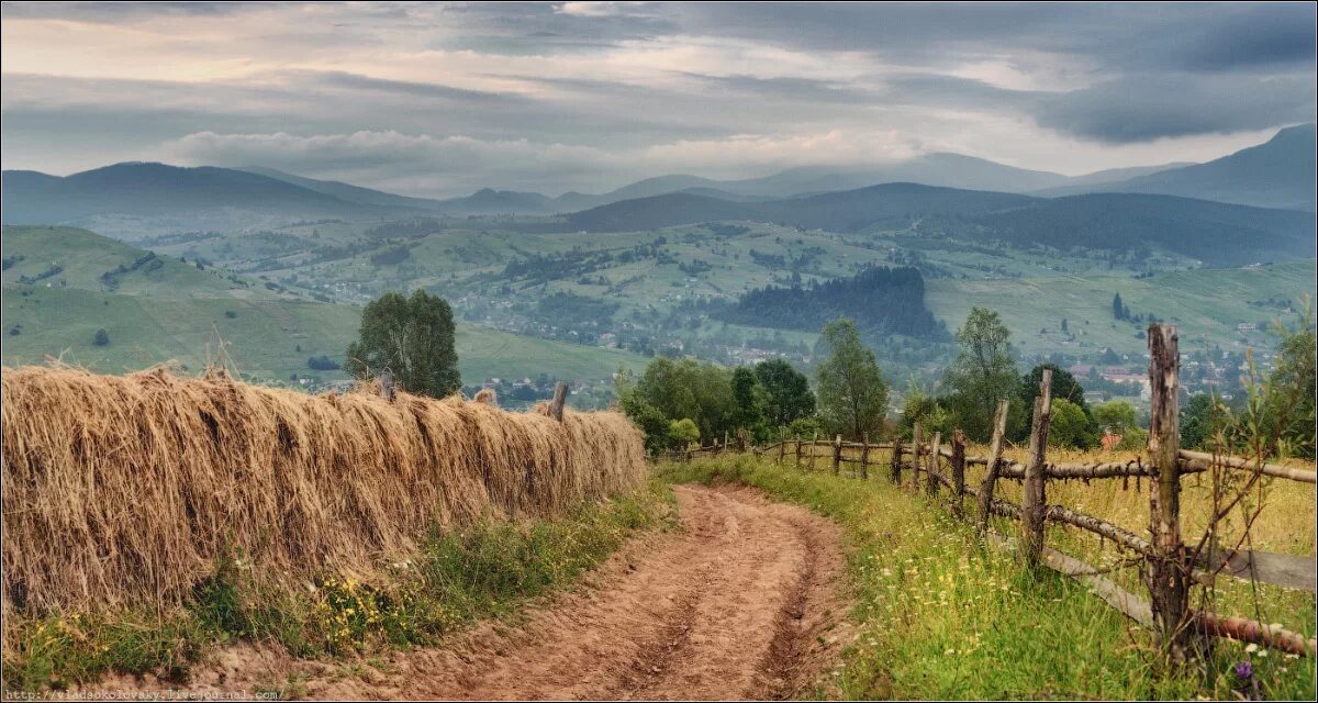 Украинский край. Карпаты село Украина маки. Панорама природа. Природа Украина деревня. Карпаты панорама.