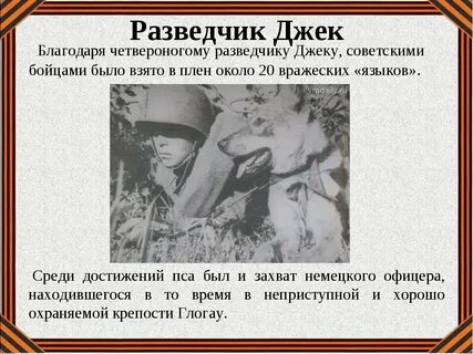 Они не возьмут их как есть