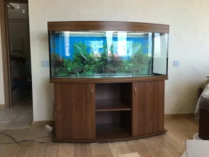 Аквас