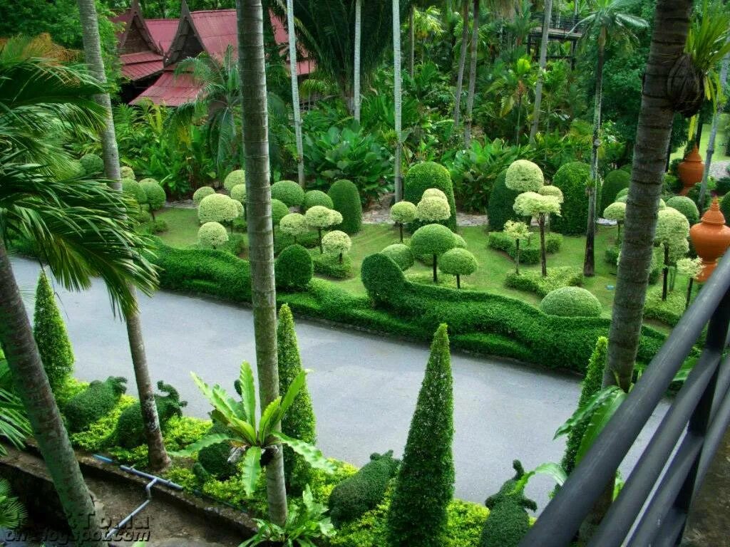 Ботанический сад Нонг Нуч. Парк в Тайланде Нонг Нуч. Сад Нонг Нуч в Паттайе. Нонг Нуч сад орхидей.
