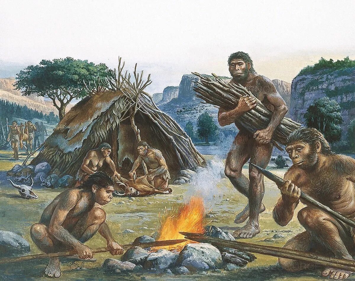 Как выглядит каменный век. Первобытные люди homo erectus. жилище человека прямоходящего. первобытный «человек умелый» (хомо хабилис)..