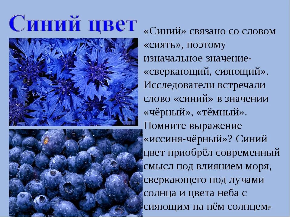 Предложение со словом синее. Описание синего цвета. Синий цвет в психологии. Голубой цвет значение. Интересные факты о синем цвете.