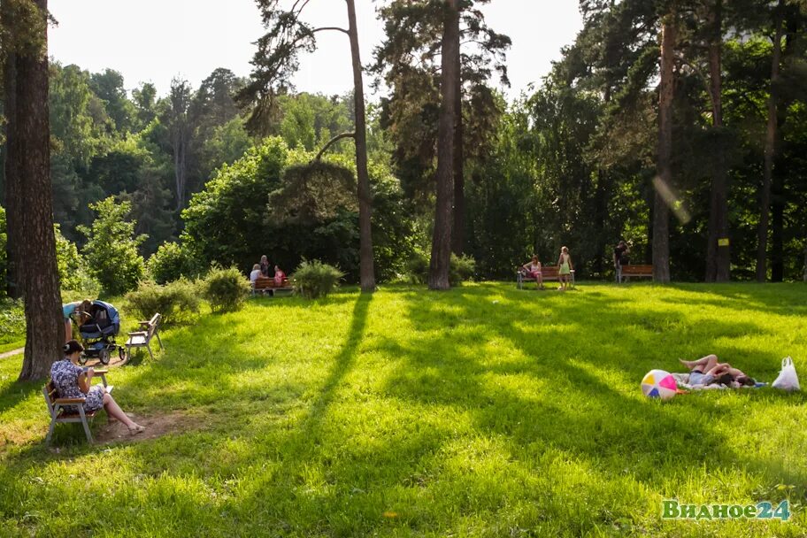 Расторгуевский парк. Тимоховский парк Видное. Лесопарк Видное. Видновский лесопарк Видное. Расторгуевский парк Видное река.