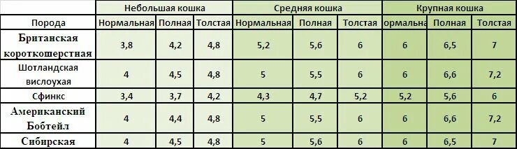 Вес котенка в 4. Норма веса шотландского кота в 2 года. Вес котенка по месяцам таблица Шотландская. Сколько должен весить кот в 8 месяцев. Вес британского котенка в 2 месяца.