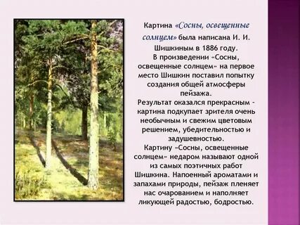 Произведение сосна