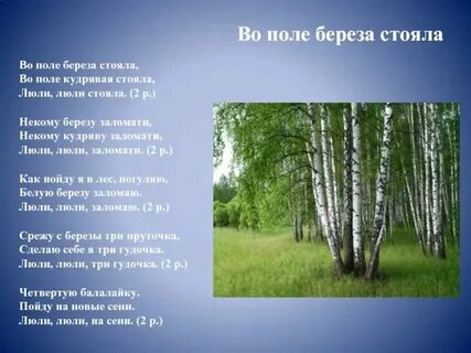 Песня музыкант трогая березы