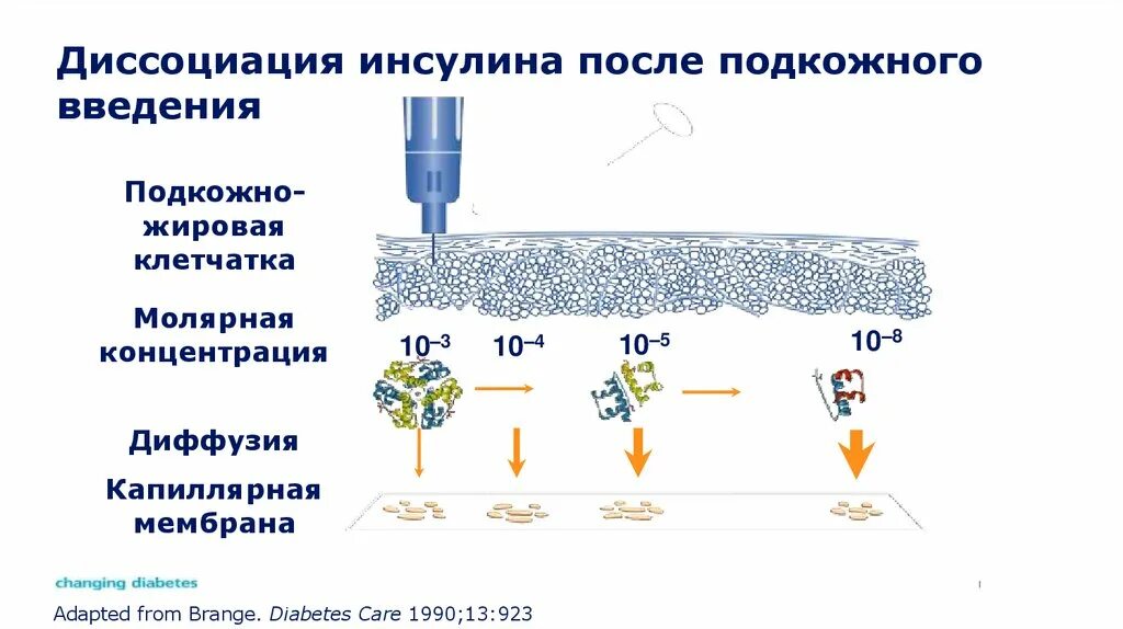 Введение инсулина при сахарном диабете. Методика подкожного введения инсулина. Введение инсулина подкожно алгоритм. Инсулин вводится подкожно. Техника введения инсулина подкожно.