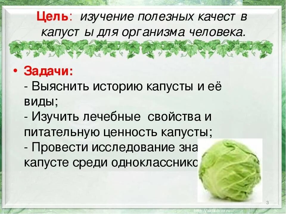 Капуста польза и вред для организма мужчины. Чем полезна капуста. Чем полезполезно капуста. Для чего полезен капуста для организма человека. Полезные свойства капусты.