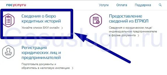 Нбки личный кабинет войти. Бюро кредитных историй госуслуги. Кредитная история госуслуги. БКИ через госуслуги.