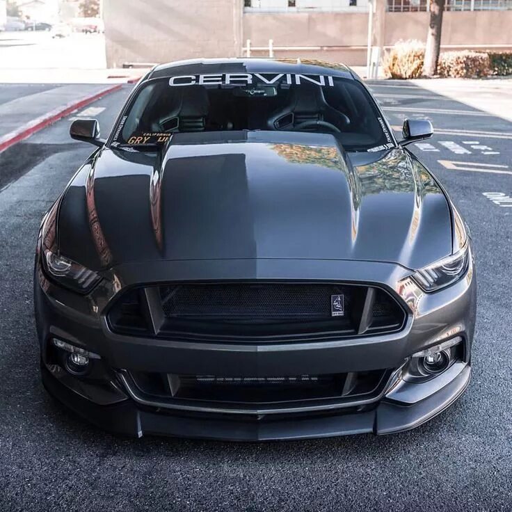 Форд мустанг 650. Ford mustang gt 2000. Форд мустанг гтр. Форд мустанг гт 2015. Тачки форд мустанг.