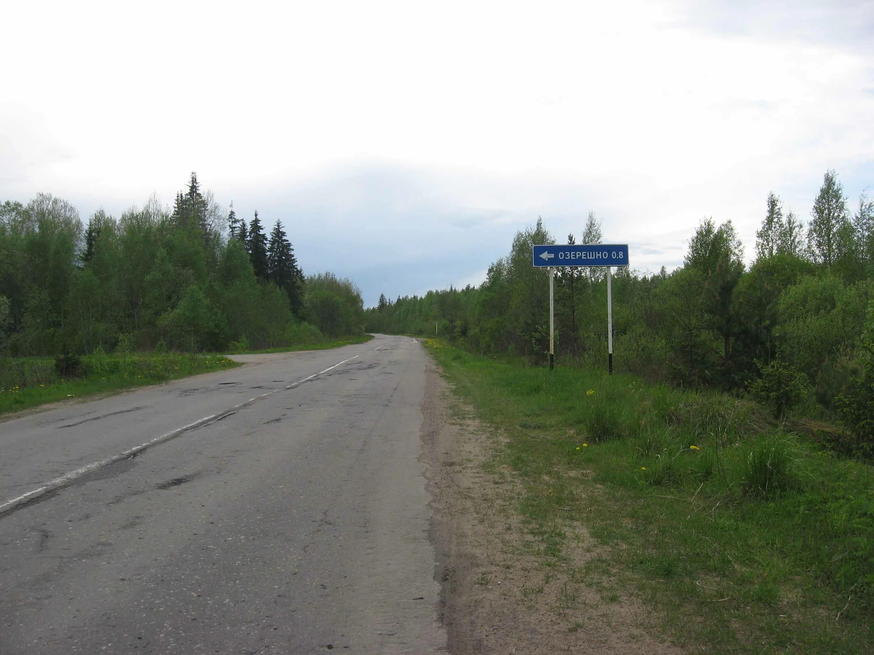 Погода в новинке гатчинского