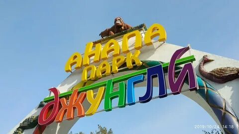 Джунгли анапа