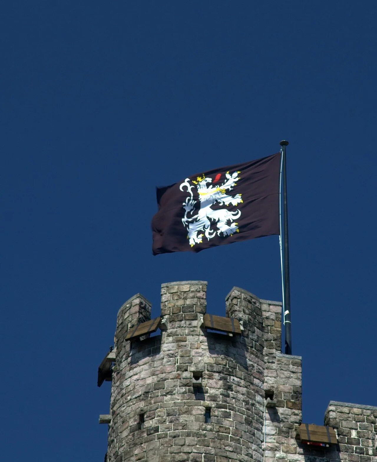 Средневековый замок. Флаг на замке. Флаг в королевском замке. Флажки для замка. Флаг с крепостью.