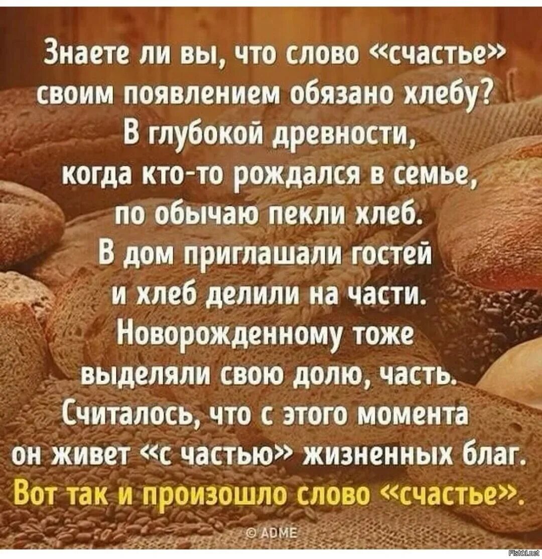 Цитаты про хлеб. Высказывания о хлебе. Изречения о хлебе. Афоризмы про хлеб. Появиться обязанный