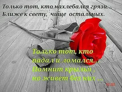 Погубленное счастье