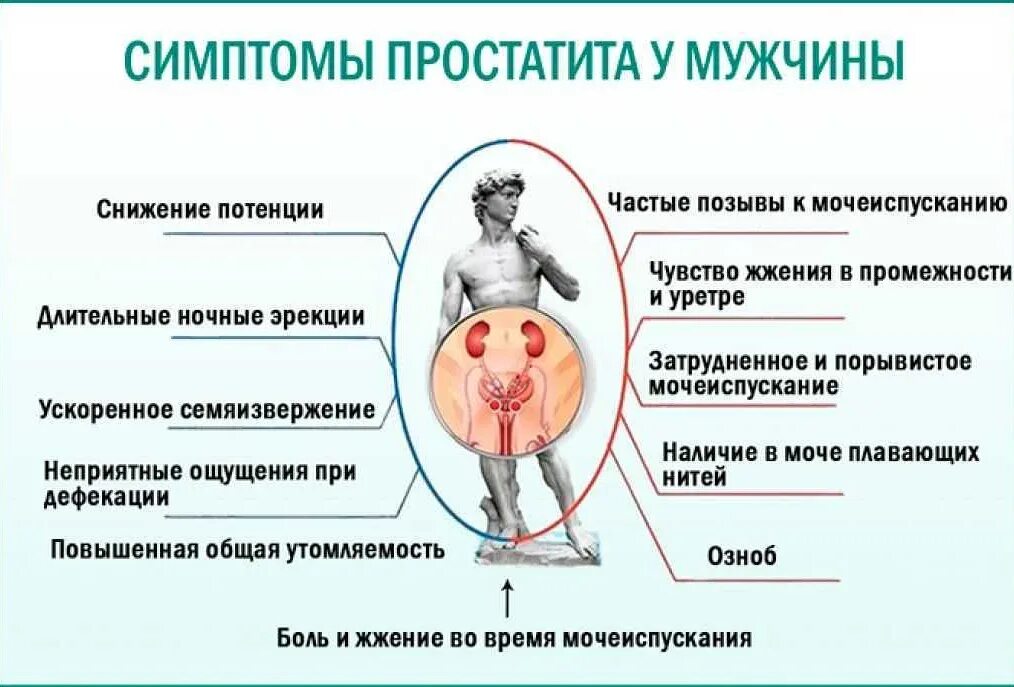 Простатиты у мужчин признаки симптомы ощущения. Простатиты у мужчин симптомы. простата у мужчин симптомы.