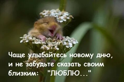 Улыбайся чаще жизнь хороша