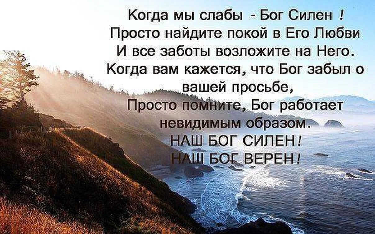 Дзен спокойствие. Нигде не найти покоя тому кто не нашел его в себе. Волки цитаты в картинках со смыслом. Девушка в горах со спины. Человек сидит спиной.