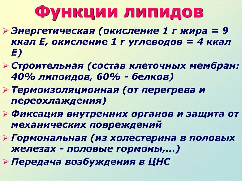 Функции липидов. Функции липидов в организме. Липиды характеристика и функции. Общие свойства липидов.