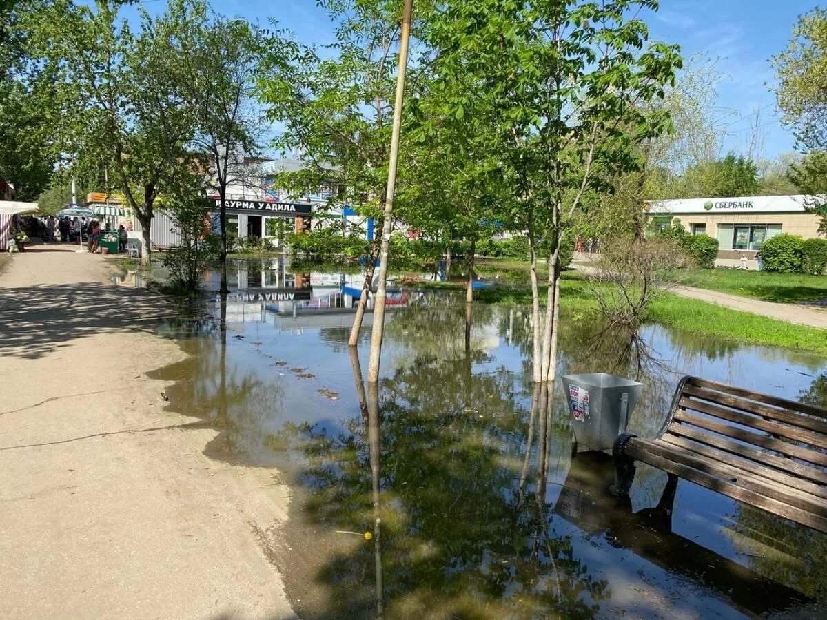 Аллея Энгельс Ломоносова. В жару на озере.