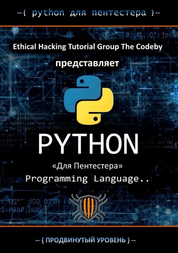 Программа курса питон