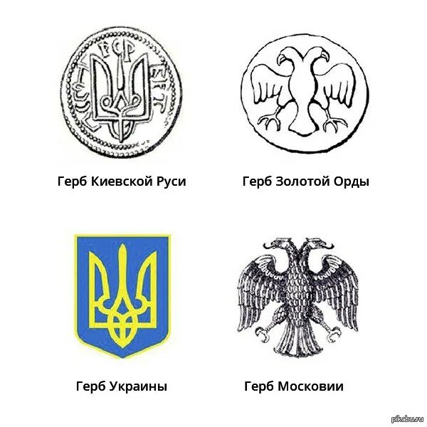 Герб Киевской Руси. Пикирующий Сокол герб Рюриковичей. Герб Киевской Руси и золотой орды. Герб золотой орды и Украины.