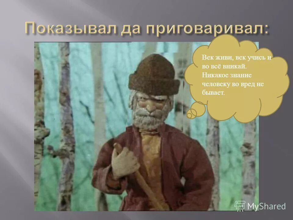 Слушать век живи. Век живи век учись. Век живи век прикол. Век живи век учись шутка. Век живи век учись прикол.