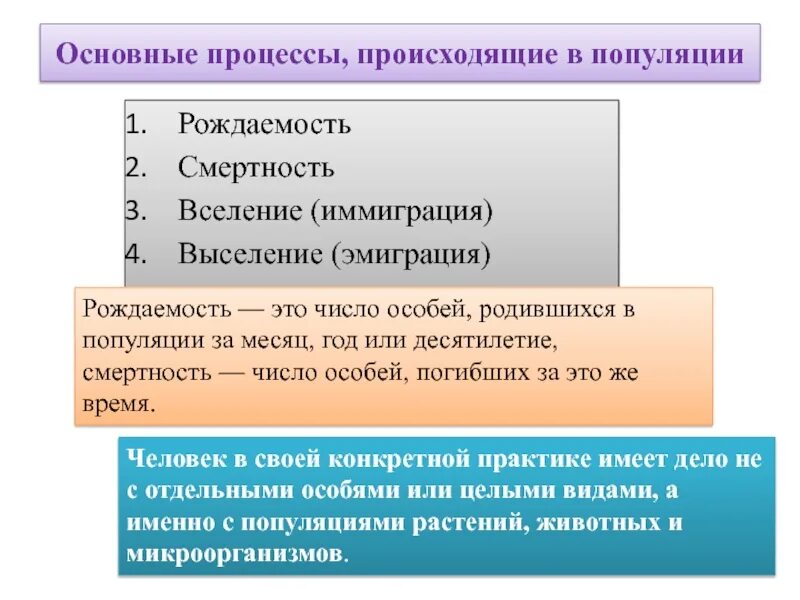 Популяция человека процессы