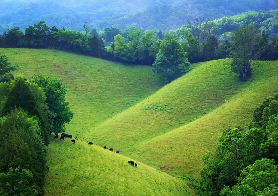 Rolling hills. Холмы Теннесси природа. Breckie Hill.