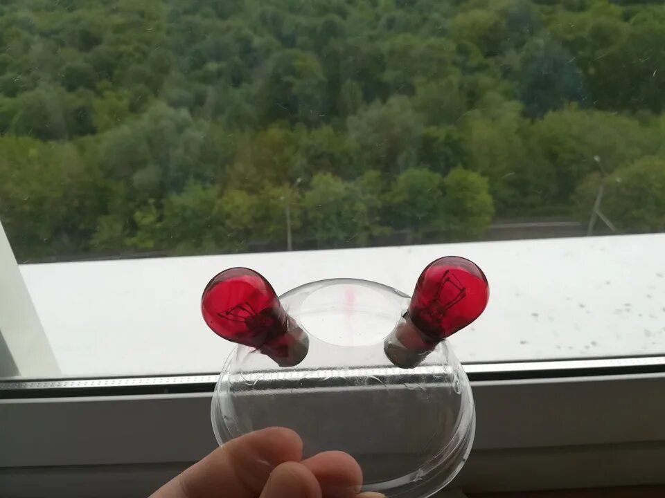 Форд фокус 2 лампочки заднего стоп сигнала. Лампа поворотника форд фокус 2 рестайлинг задняя. Лампа стоп сигнала форд фокус 2 хэтчбек. Лампа форд фокус 2 лампа стоп сигнала. Лампа стоп сигнала форд фокус 3.