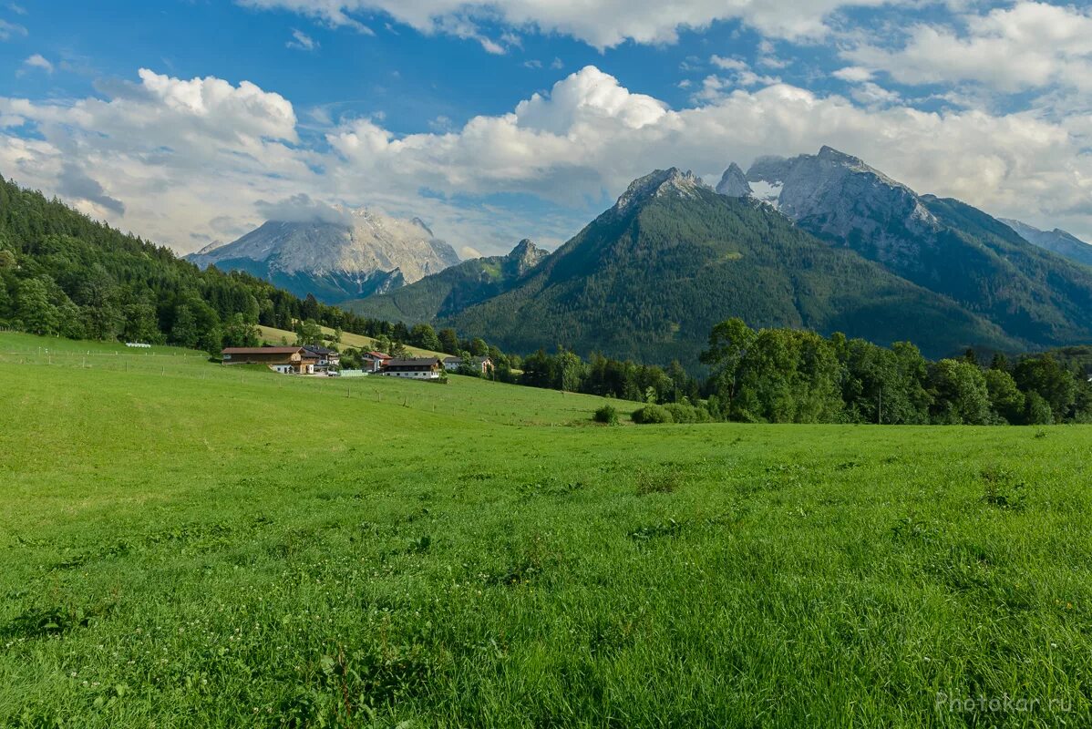 Луга в 4 доме. Альпийские Луга Германии. Альпийские Луга Бавария. Альпийская Поляна Швейцария. Зеленые Луга в горах Швейцарии.