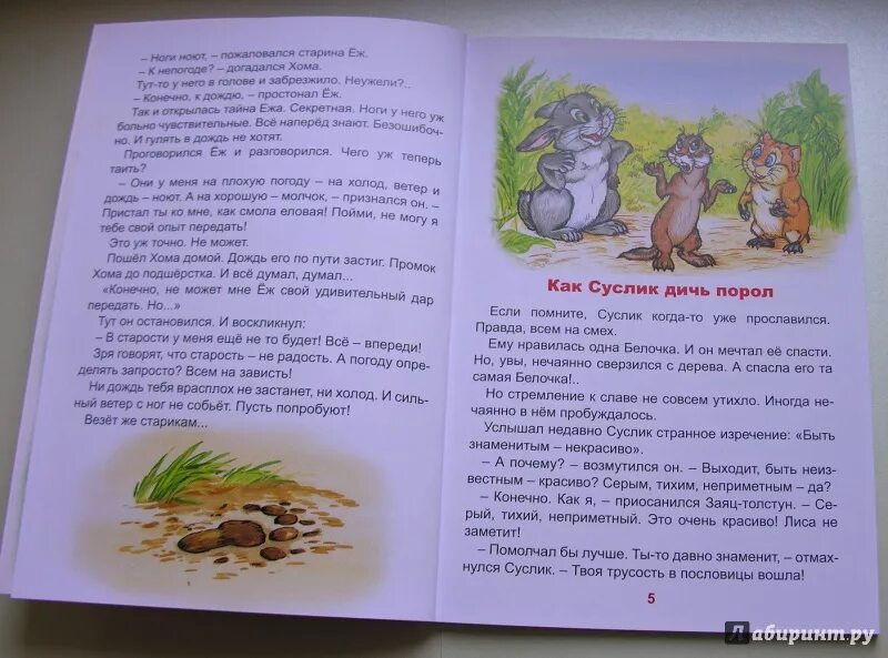 Хома и суслик книга