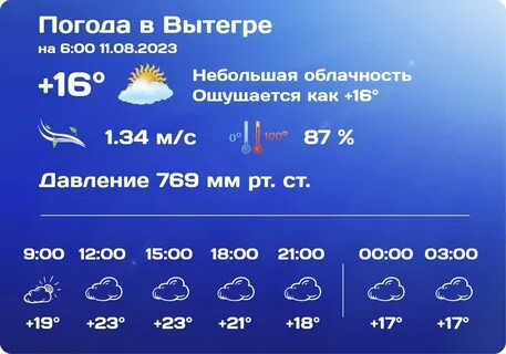 Точный прогноз погоды вытегра