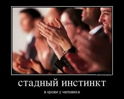 Инстинкты видео