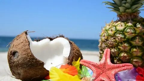 Fruit bounty