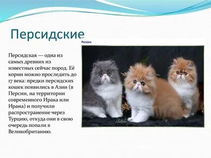 1 покажи описание