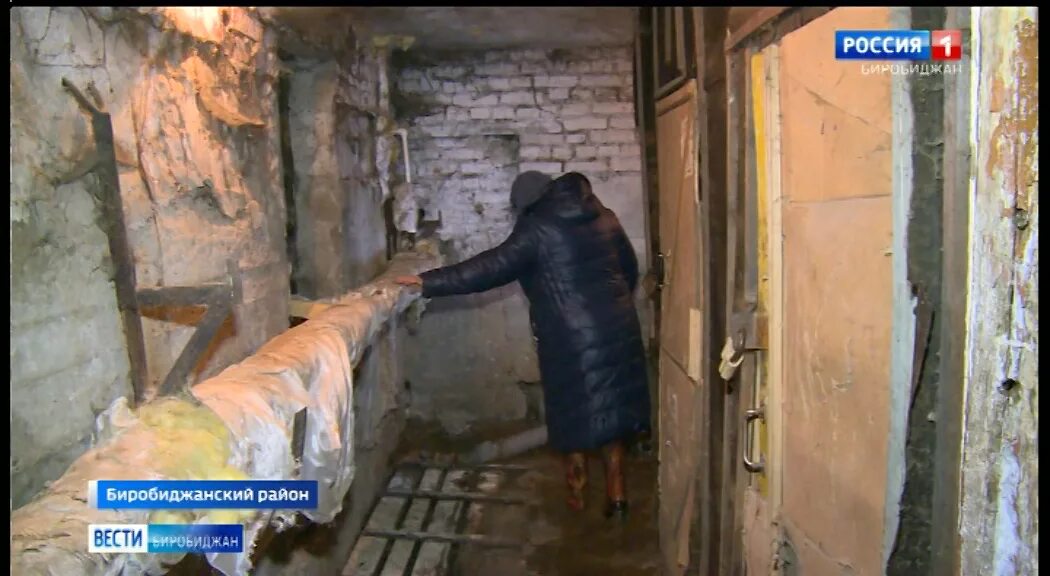 8 лет в подвале. 8 лет в подвале