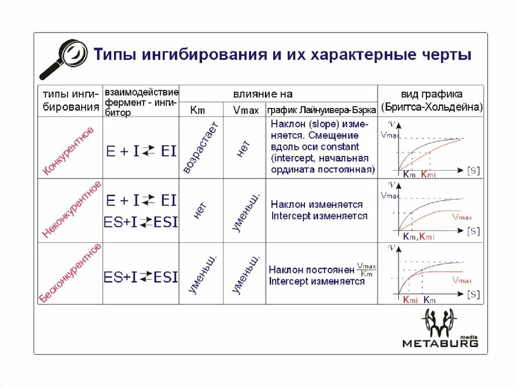 Типы обратимого ингибирования. Типы ингибирования ферментов биохимия. Типы ингибирования ферментов биохимия таблица. Ингибирование активности ферментов.