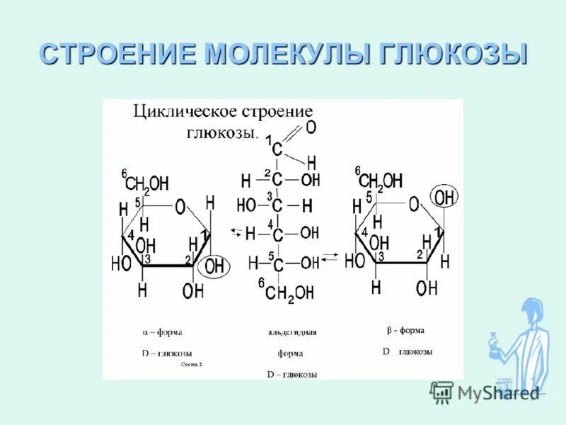 основной источник энергии для новорожденного. усвояемые и неусвояемые углеводы. потребность организма в энергии. углеводы главный источник энергии организма. нормы физиологических потребностей в энергии.