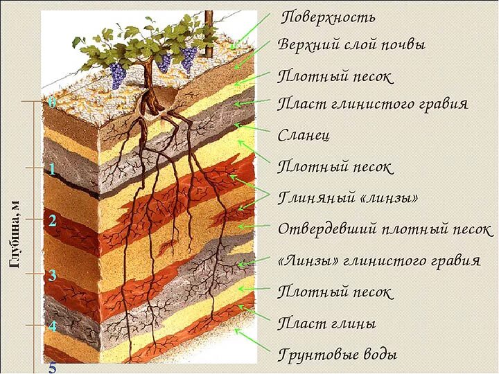 Какой бывает слой