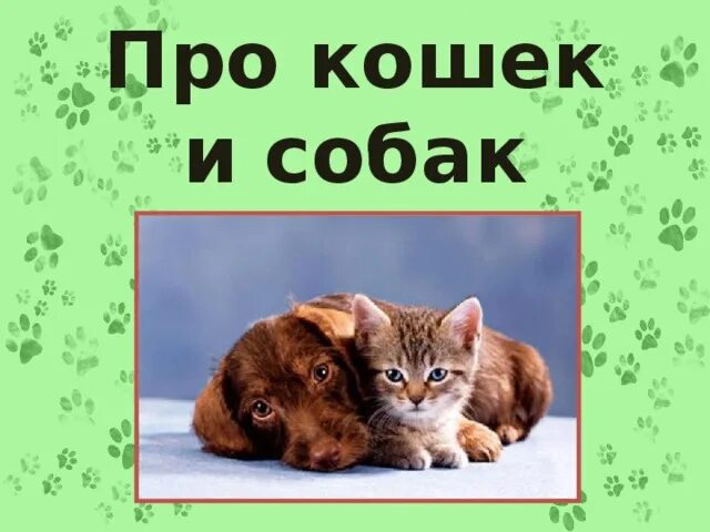 Кошки и собаки 2 класс