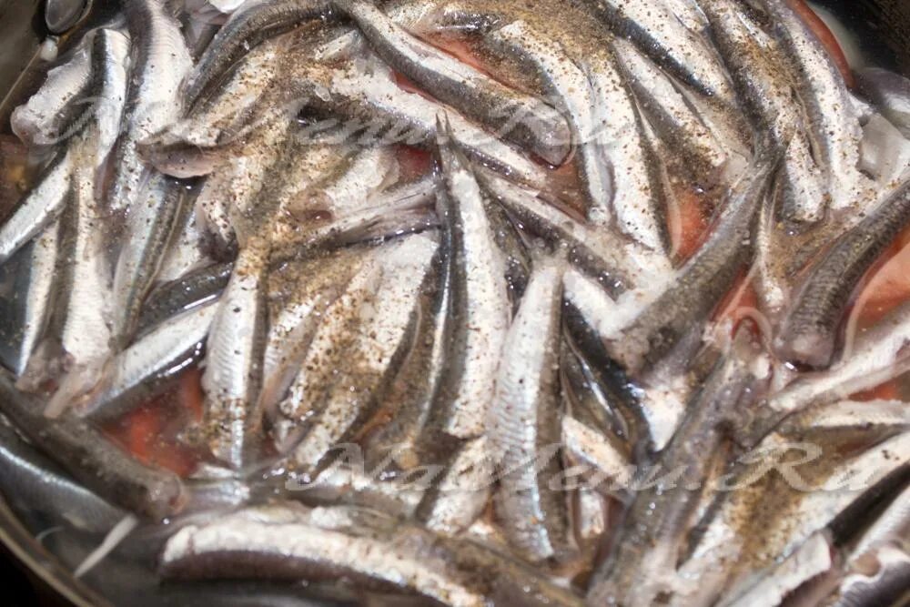 хамса рецепт. хамса рыба блюдо. рыба хамса в турции. Hamsi рыба. хамса приготовление.