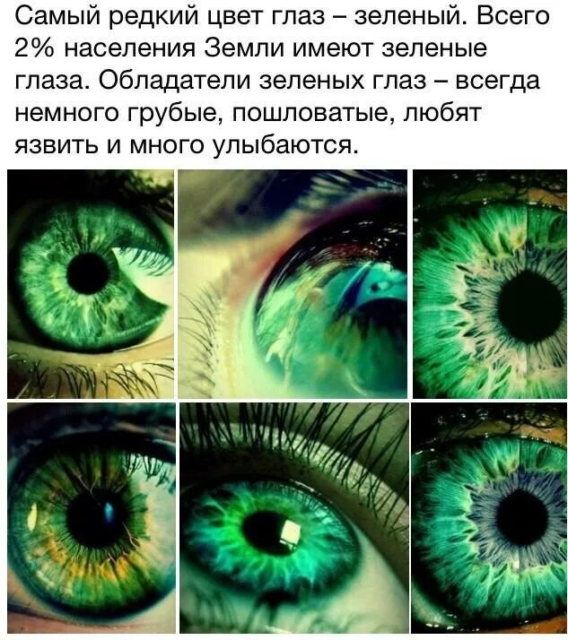 Почему говорит зеленый. Цвет глаз. Изумрудно зеленый цвет глаз. Характер людей с зелеными глазами. Зелёный цвет глаз самый редкий.