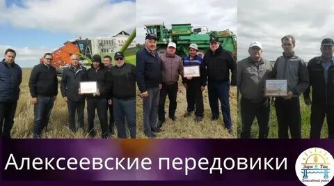 Алексеевская заря