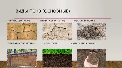 Глинистая почва почему и