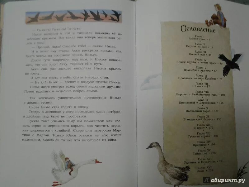 План рассказа путешествие нильса с дикими гусями. Чудесное путешествие нильса с дикими гусями план. Чудесное путешествие нильса с дикими гусями 4 класс. Сколько страниц в книге чудесное путешествие нильса с дикими гусями. План рассказа путешествие нильса с дикими гусями.